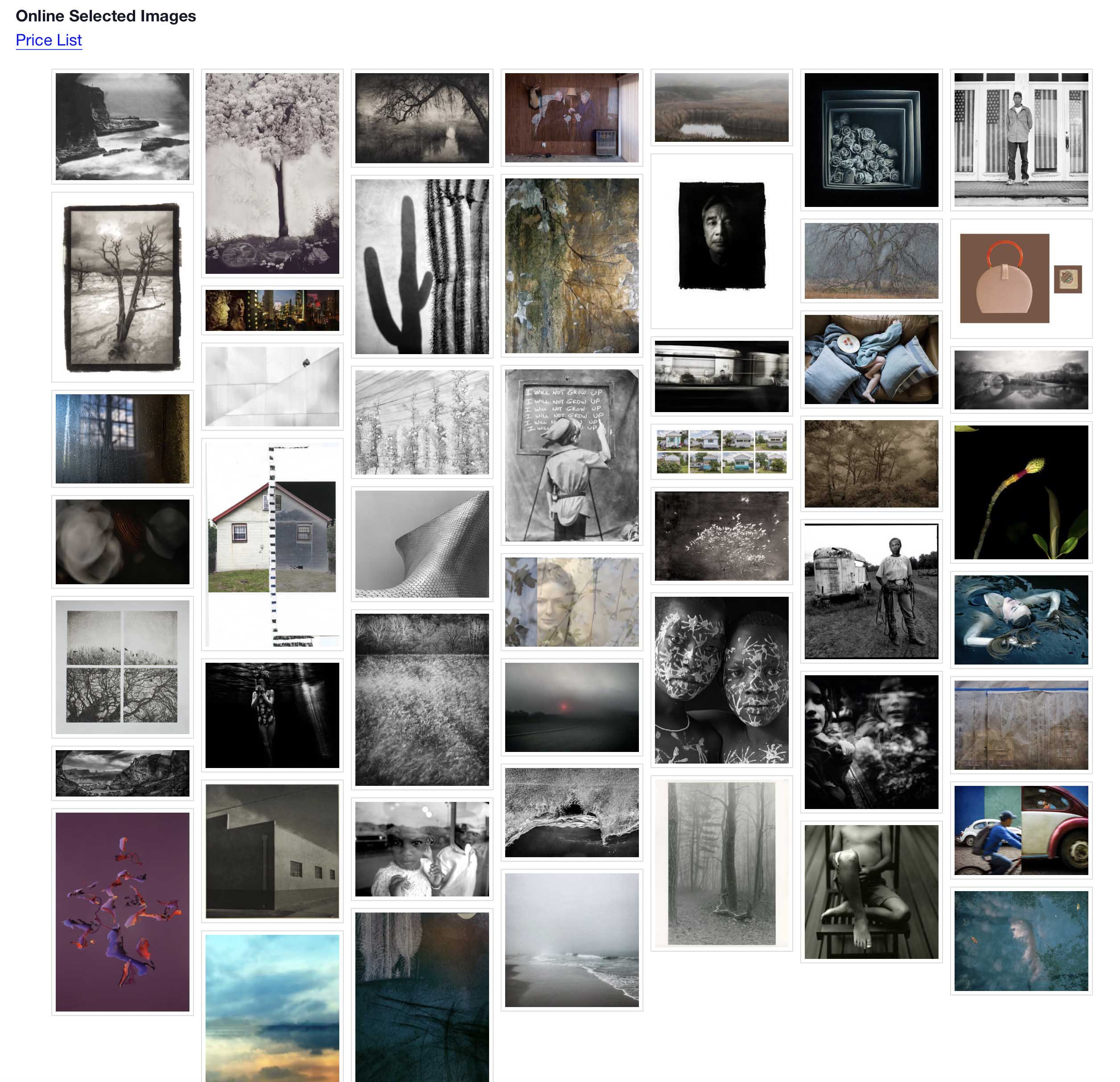 Center of Photography 2021 Member Juried Exhibition