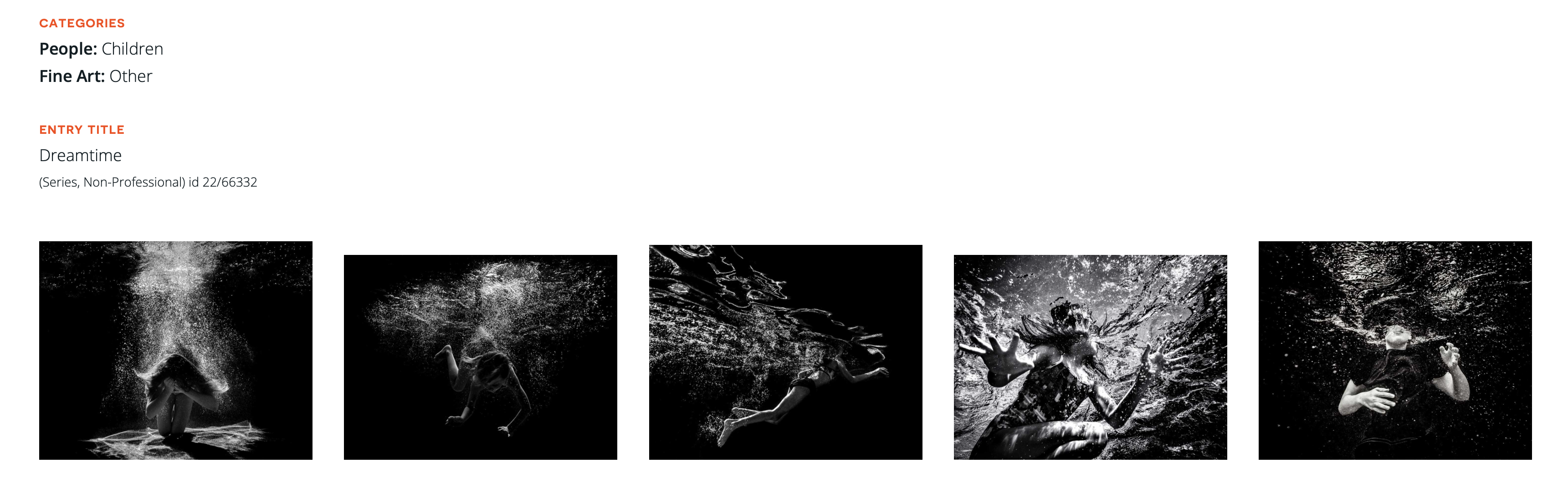 Screen Shot 2022-11-20 at 1.43.13 PM