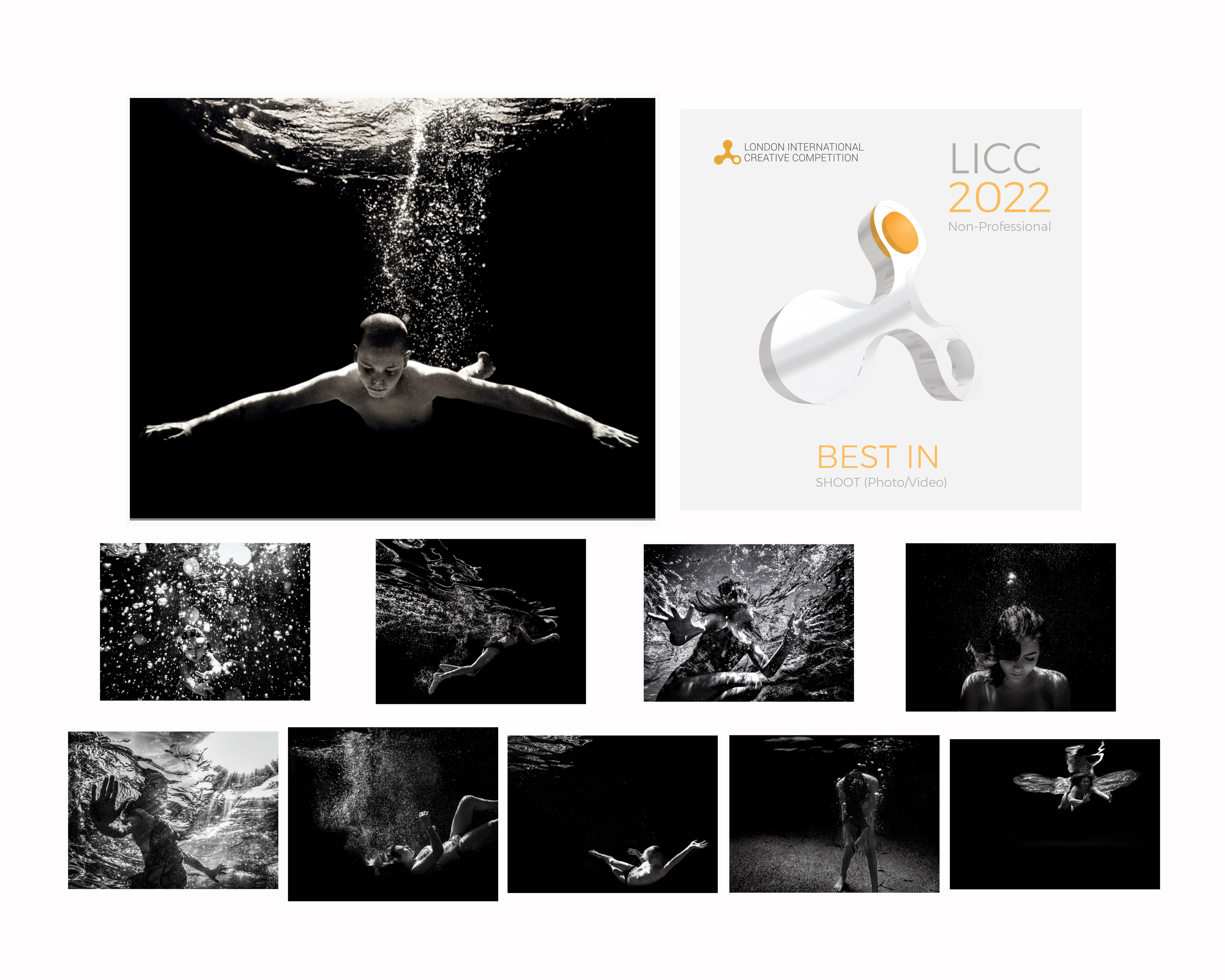 LICC 2022 Best In Category for Webpage